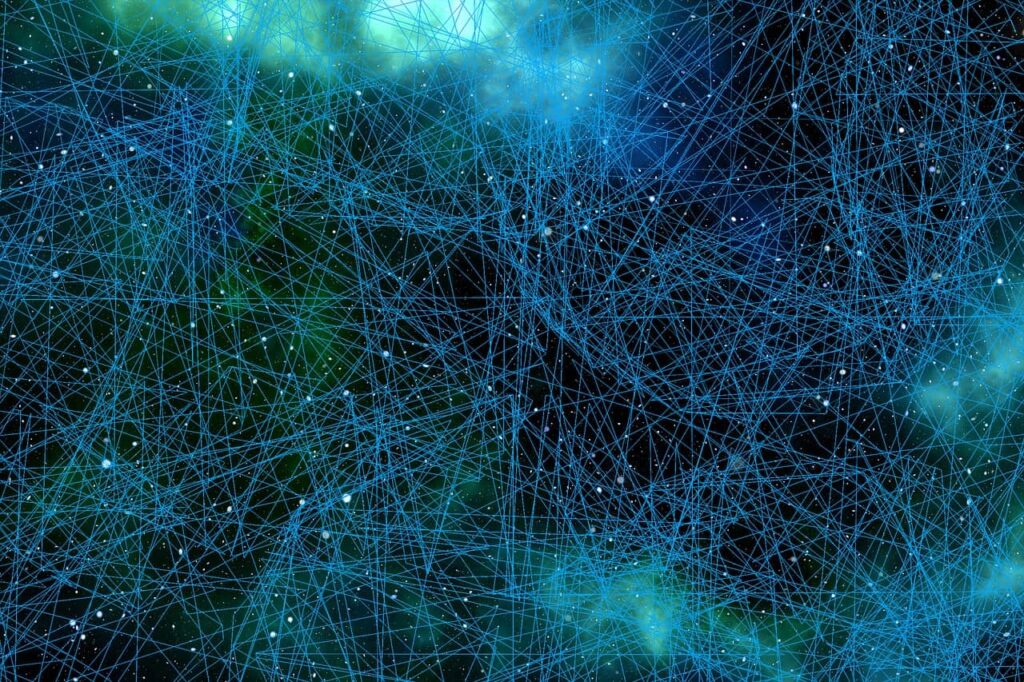 Neuron web.