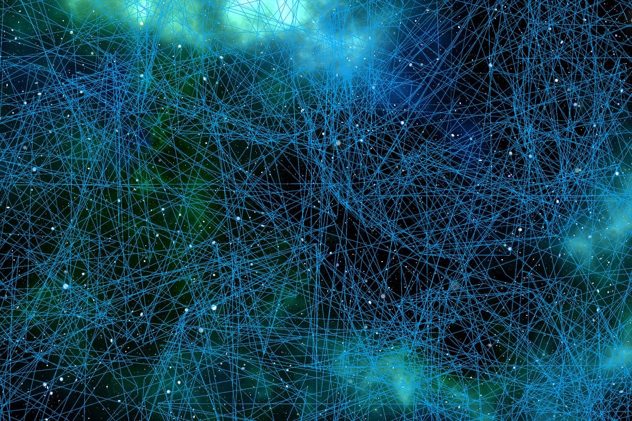 Neuron web.