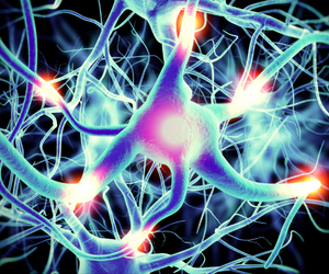 Neurons.

