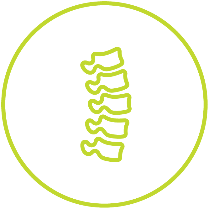 Icon of a spine.