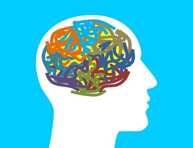 Brain illustration