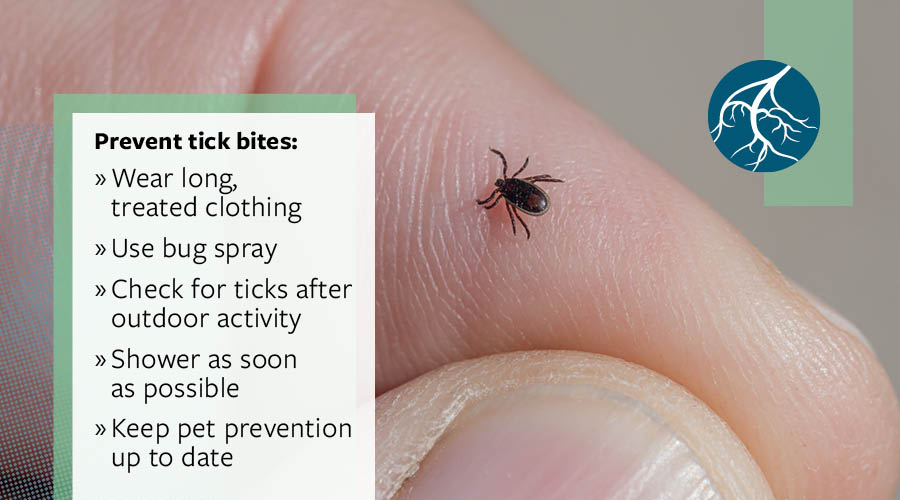 image of tick on finger with list of ways to prevent tick bites